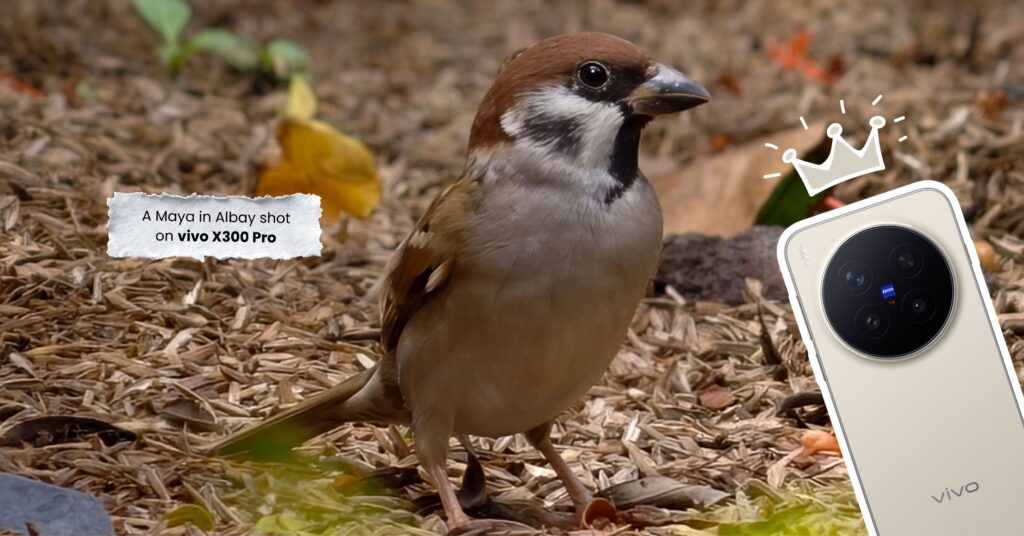 vivo X300 Pro-KV template