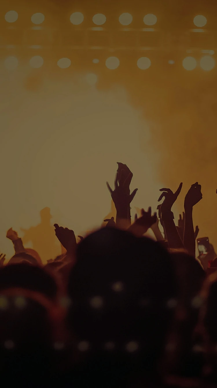 vivo-v70-with-dual-bridge-signal-concurrency