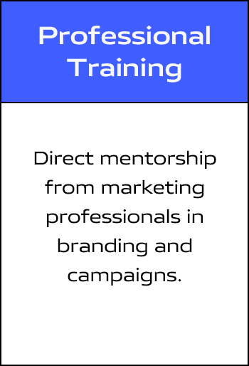 Professional-Training
