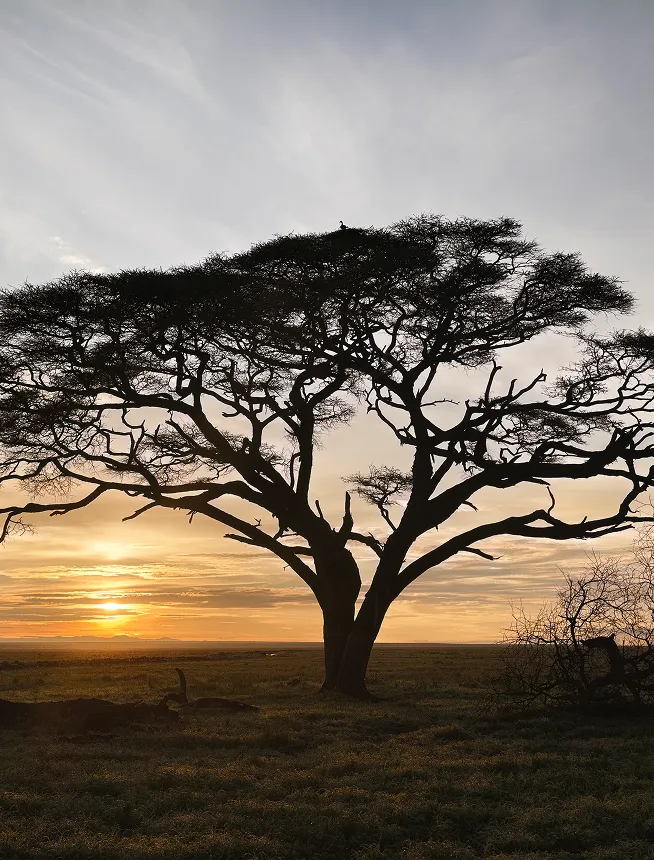 landscape-photo-taken-by-vivo-x300-ultra-high-dynamic-range-landscape-function.png