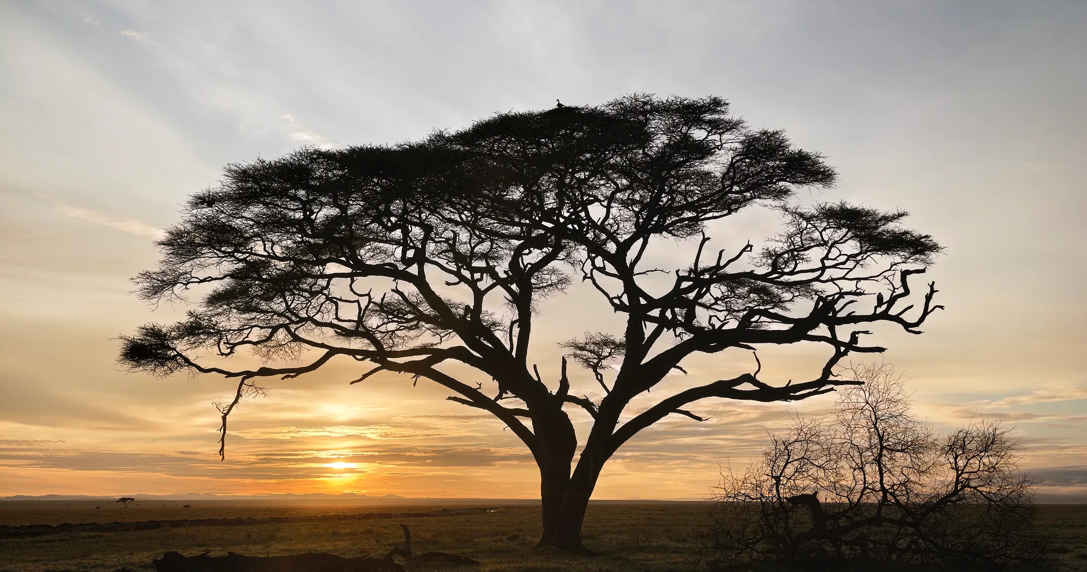 landscape-photo-taken-by-vivo-x300-ultra-high-dynamic-range-landscape-function.png